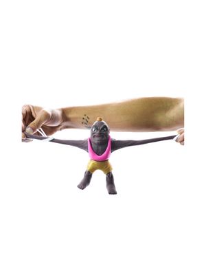Muñeco Stretchapalz World Wrestling Dynamite