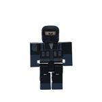 ROBO174_5
